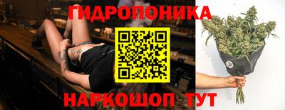 кокс Нарткала